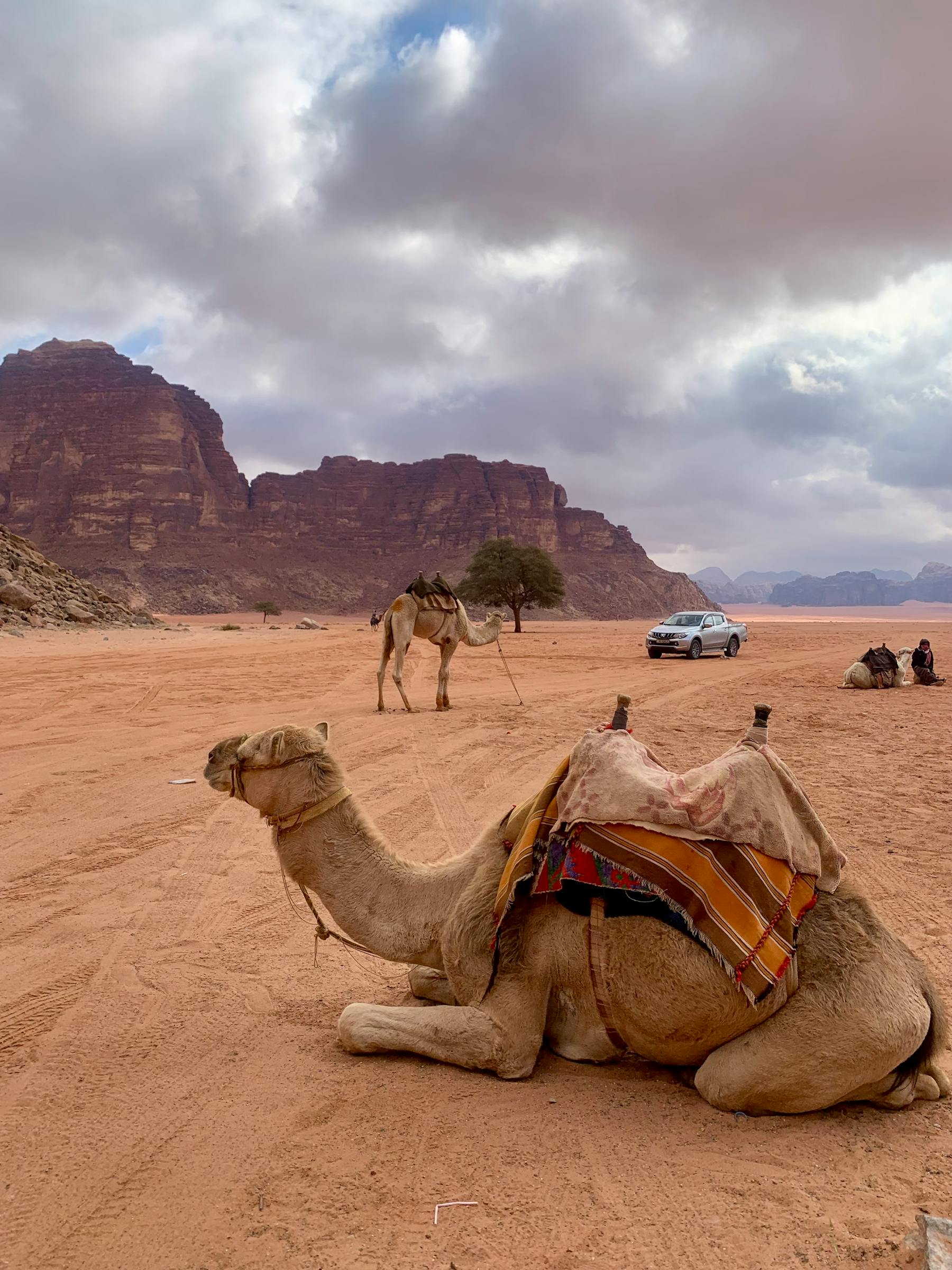 Red desert landscape in Wadi Rum